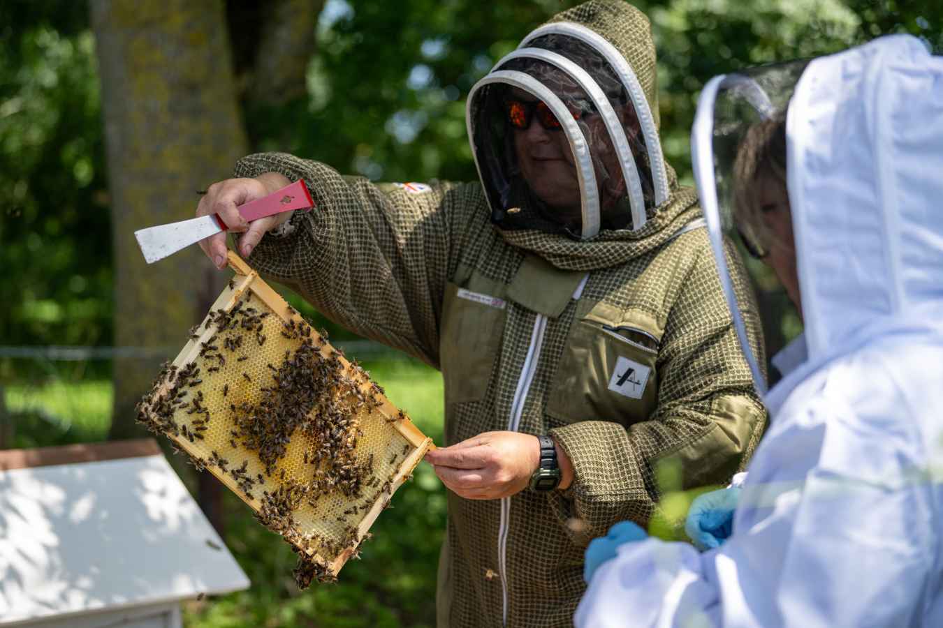Bee Keeping was a highlight