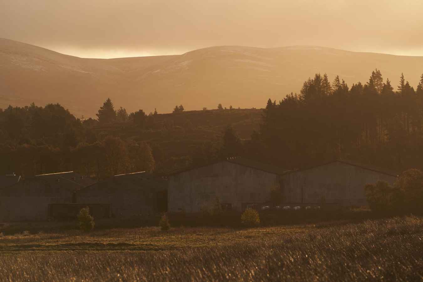 A beautiful landscape