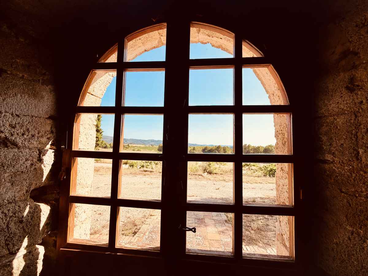 Catalonia Through a Glass: The People, Places and Patience Shaping a New Generation of Cava: