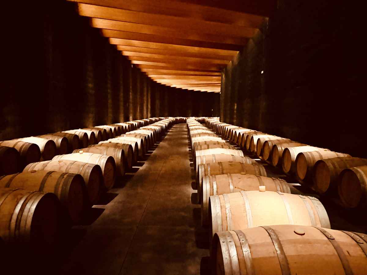 Catalonia Through a Glass: The People, Places and Patience Shaping a New Generation of Cava: