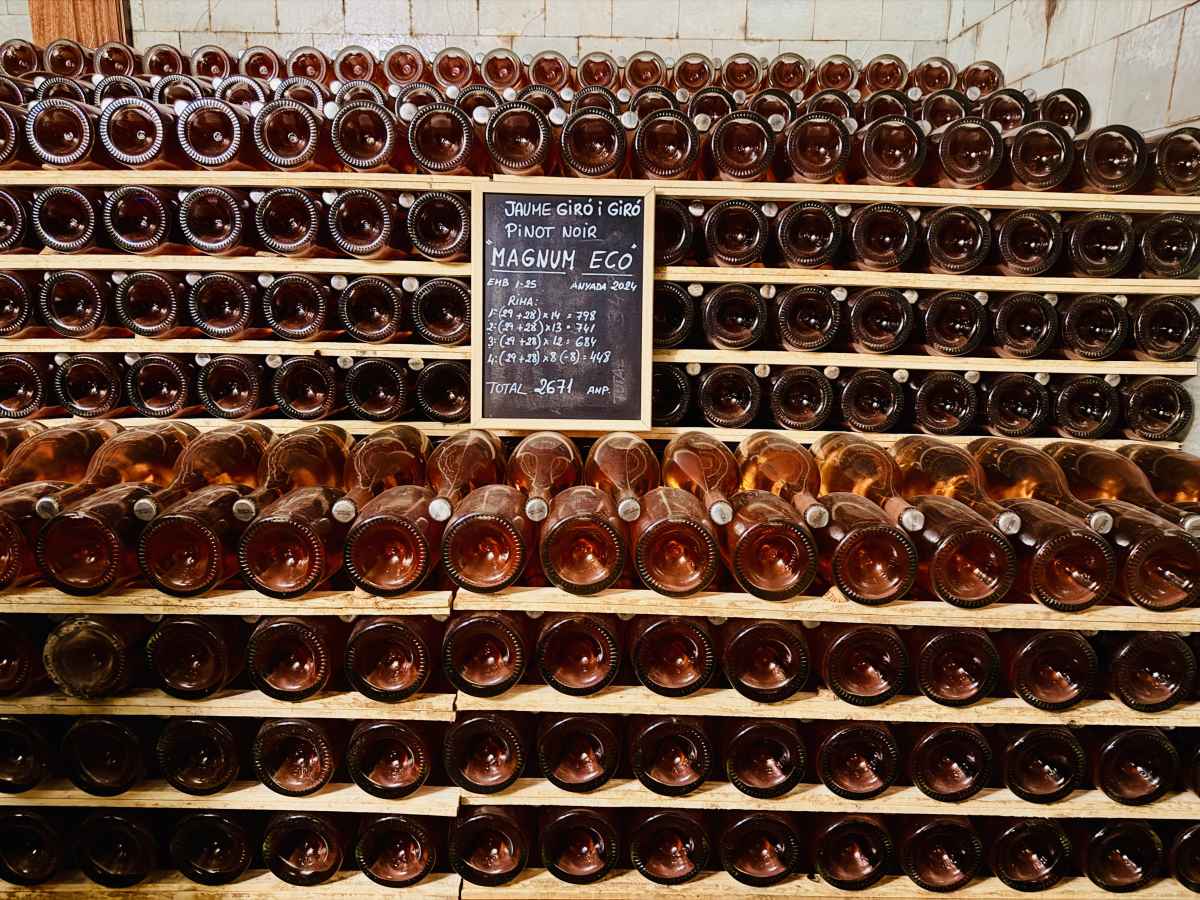 Catalonia Through a Glass: The People, Places and Patience Shaping a New Generation of Cava: