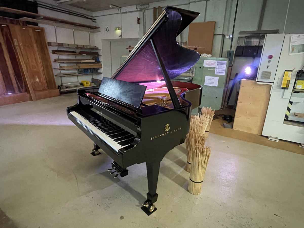 STEINWAY PIANO - CONCENTRIC WAVES