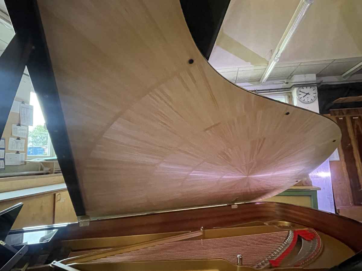 STEINWAY PIANO - CLASSIC SUNBURST
