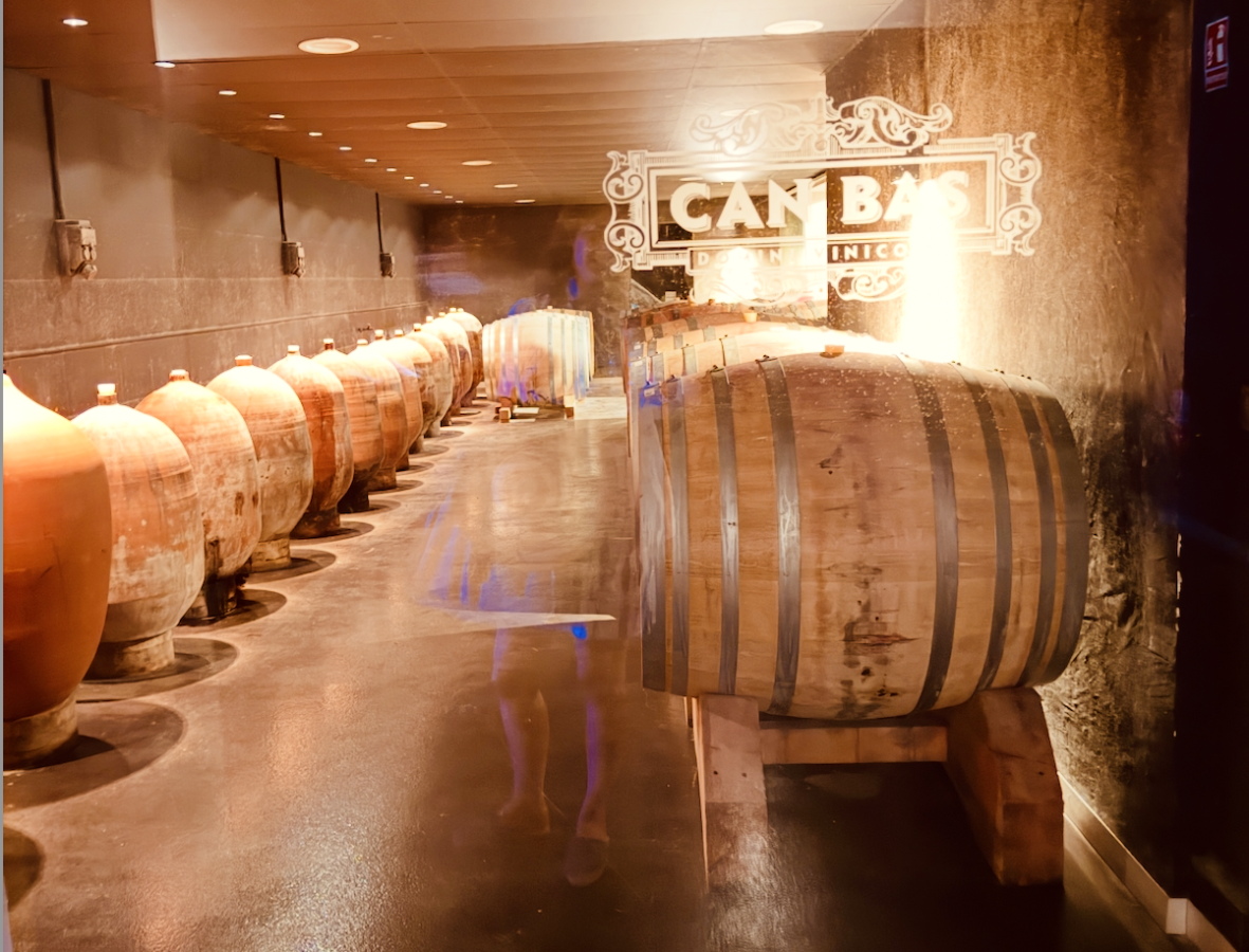 Catalonia Through a Glass: The People, Places and Patience Shaping a New Generation of Cava: