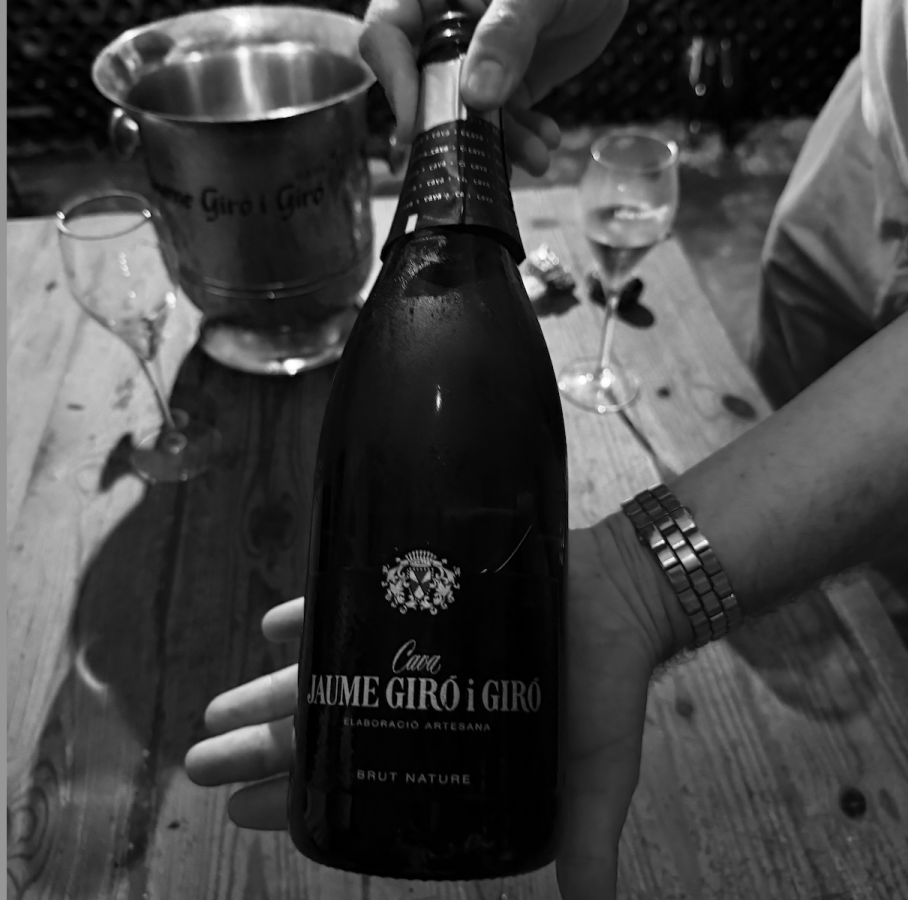Catalonia Through a Glass: The People, Places and Patience Shaping a New Generation of Cava: