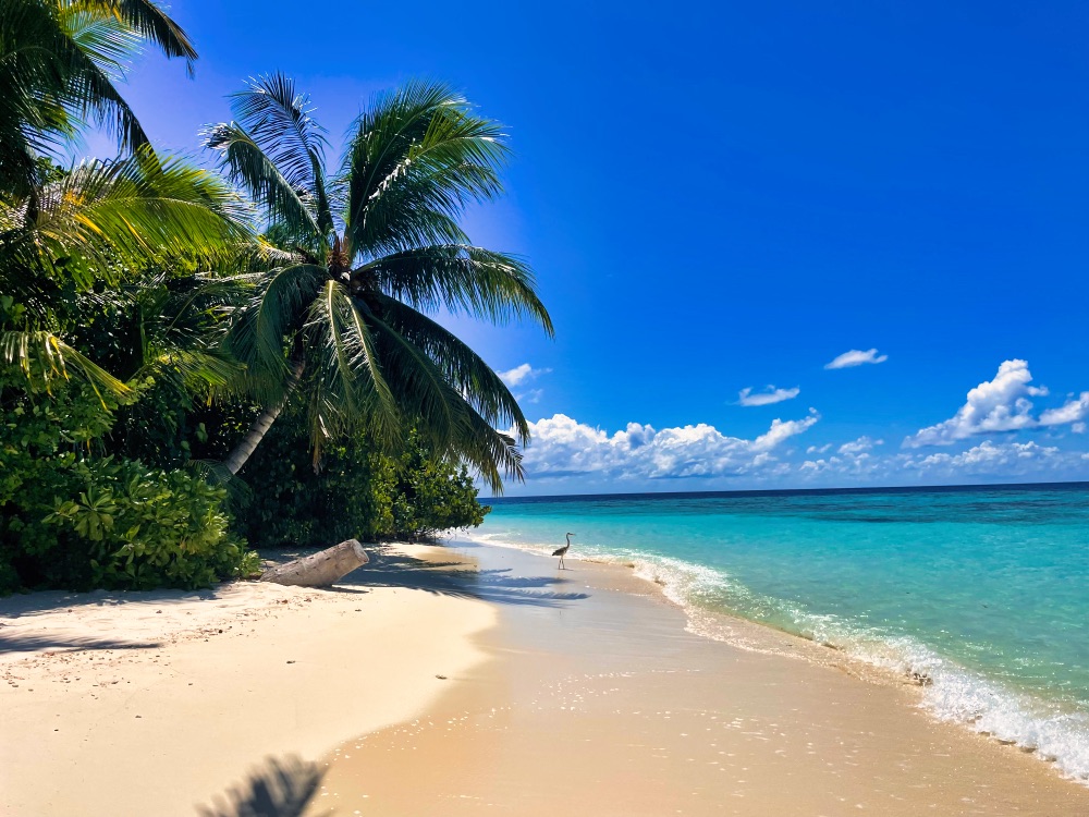 The Halcyon Private Isles Maldives Review