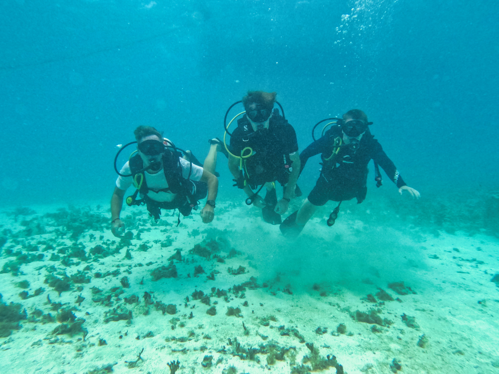 Antigua Scuba School Dive