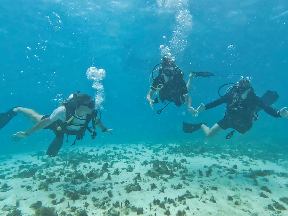 Antigua Scuba School Dive