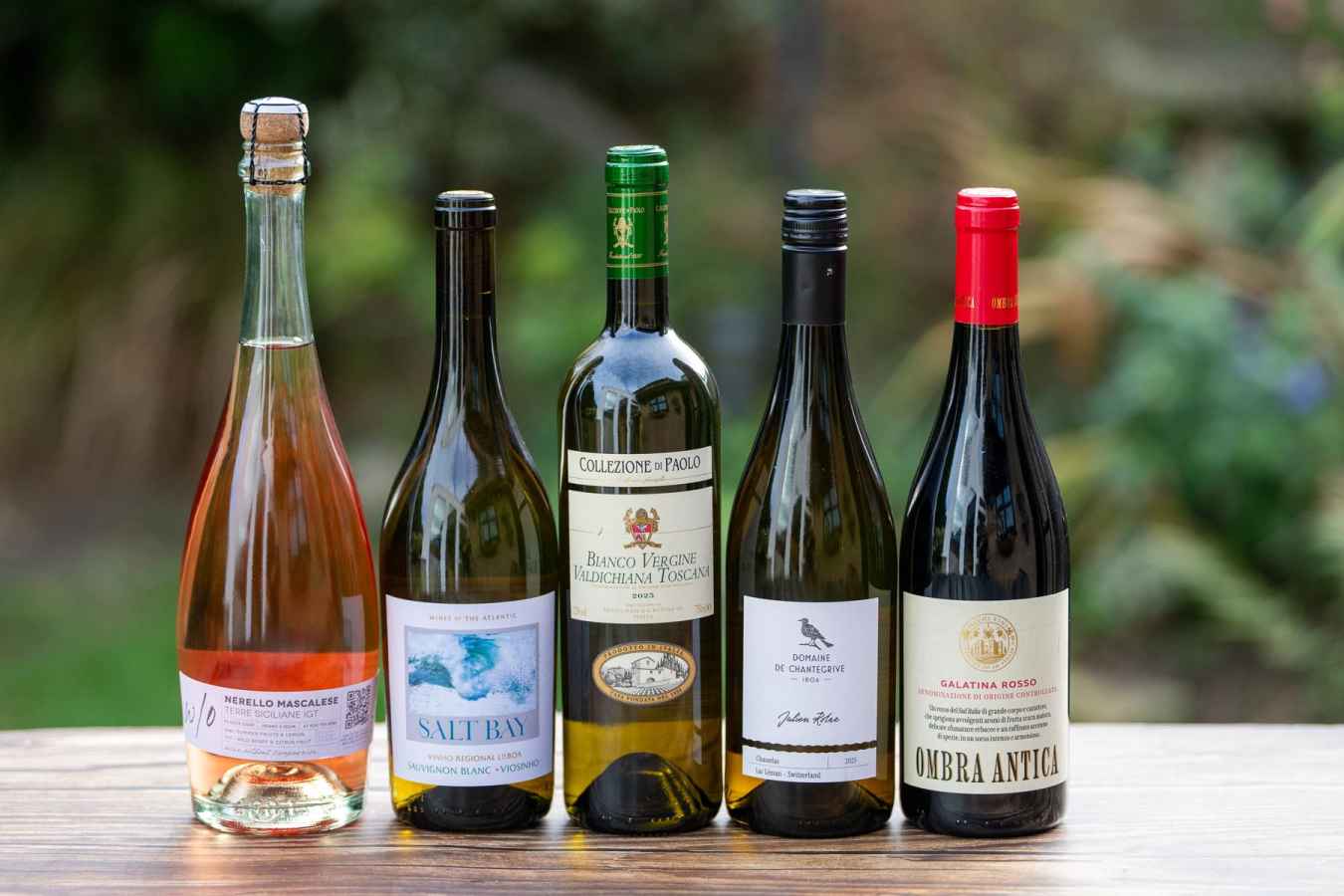 This editions wines