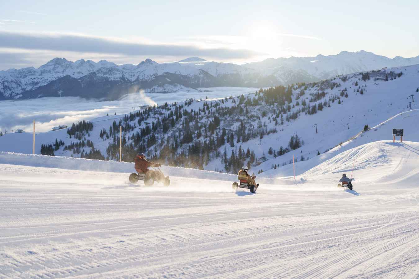 Mountaincartin