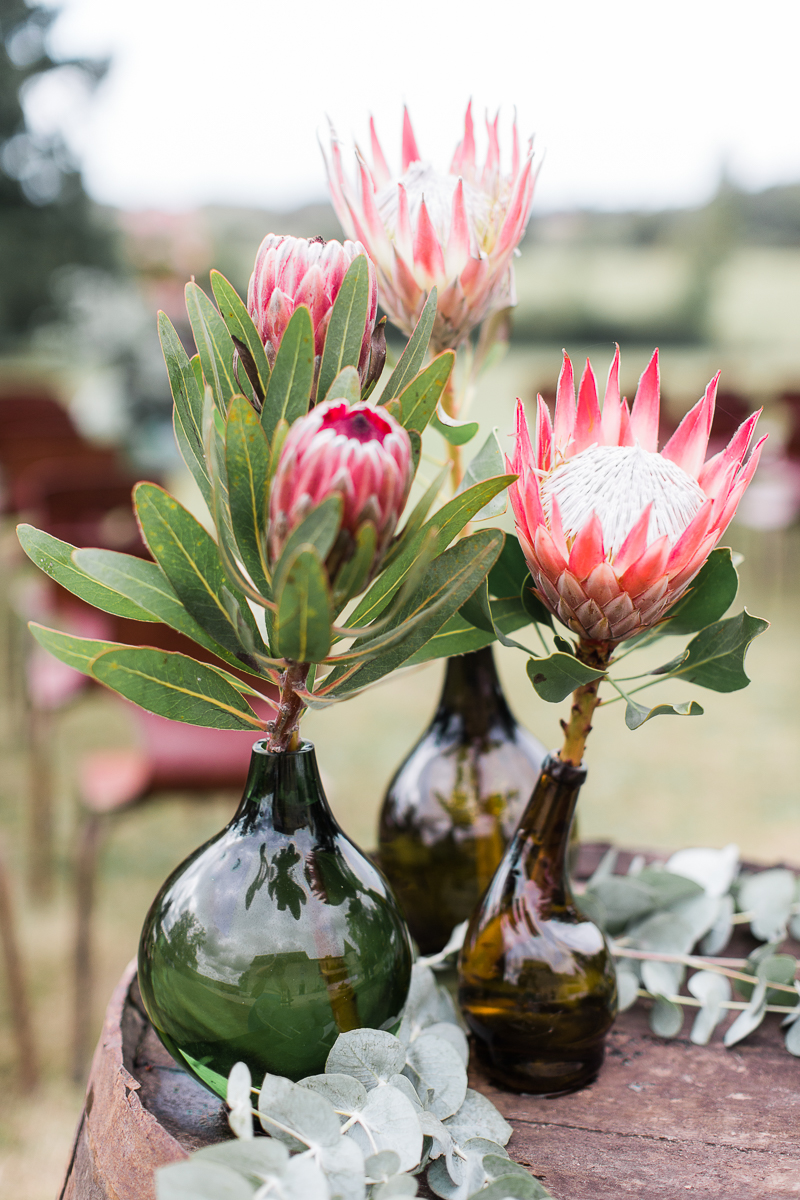 Protea on top of the chateau's wine barrels 