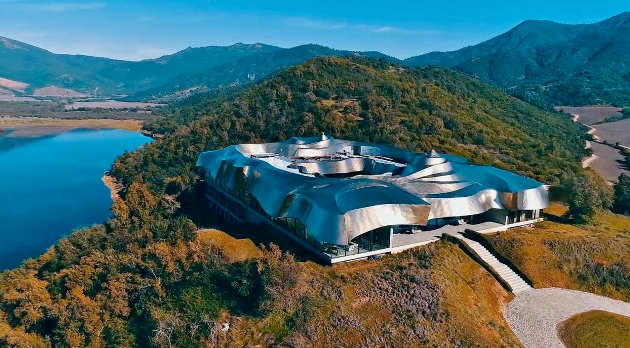 First place winner 'Vik' in the Millahue Valley of Chile