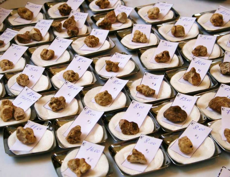 Alba Truffle Fair