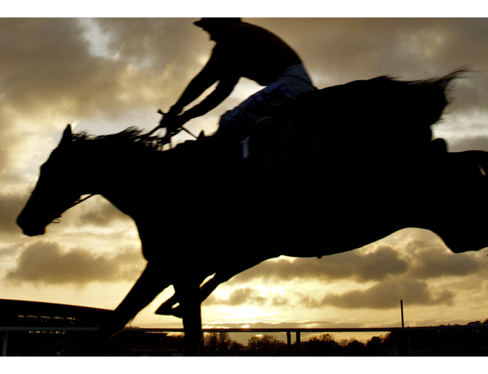 Clarence House Chase Raceday at Ascot