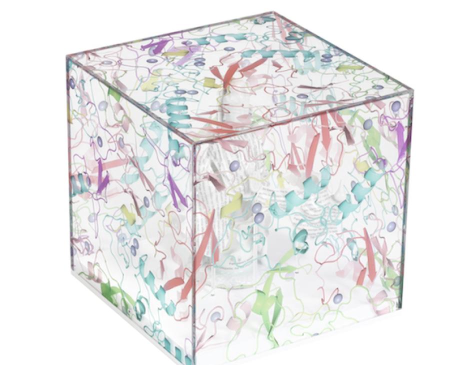 Cure Parkinson Exhibition 50 International Artists At Bonhams