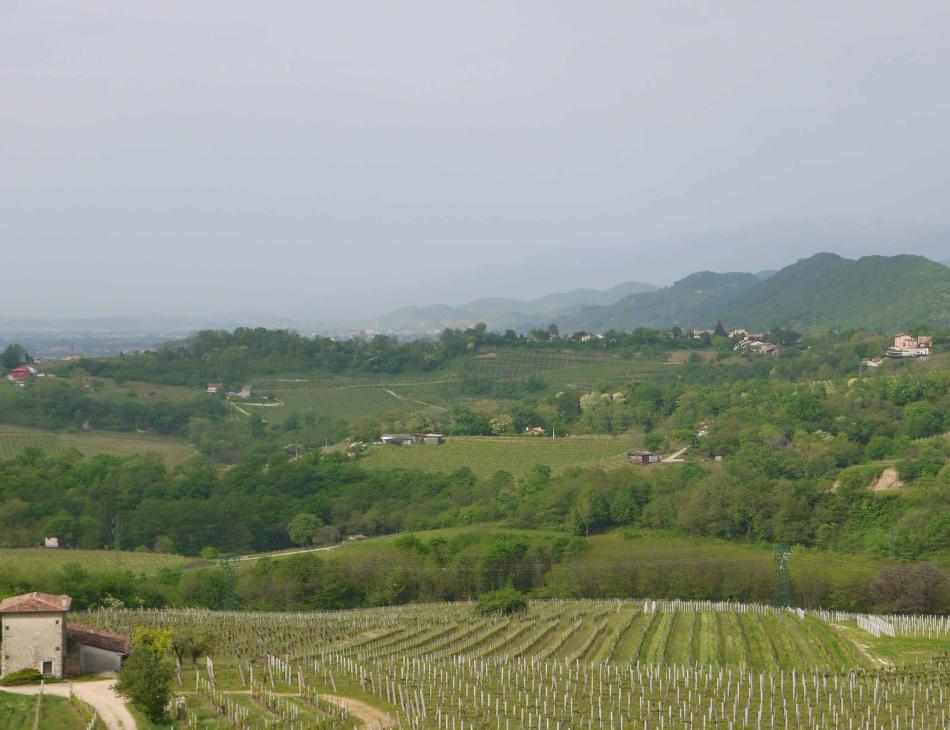 Strada del Prosecco: Three Days In Italy’s Sparkling Foothills