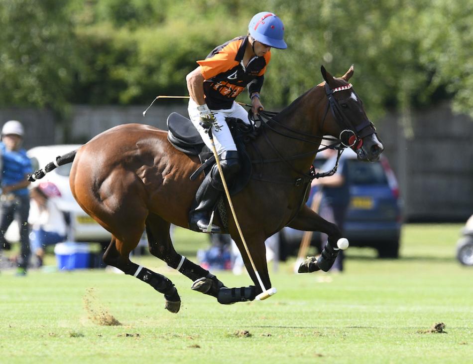 Emsworth Polo Grounds Are Extremely Sporting