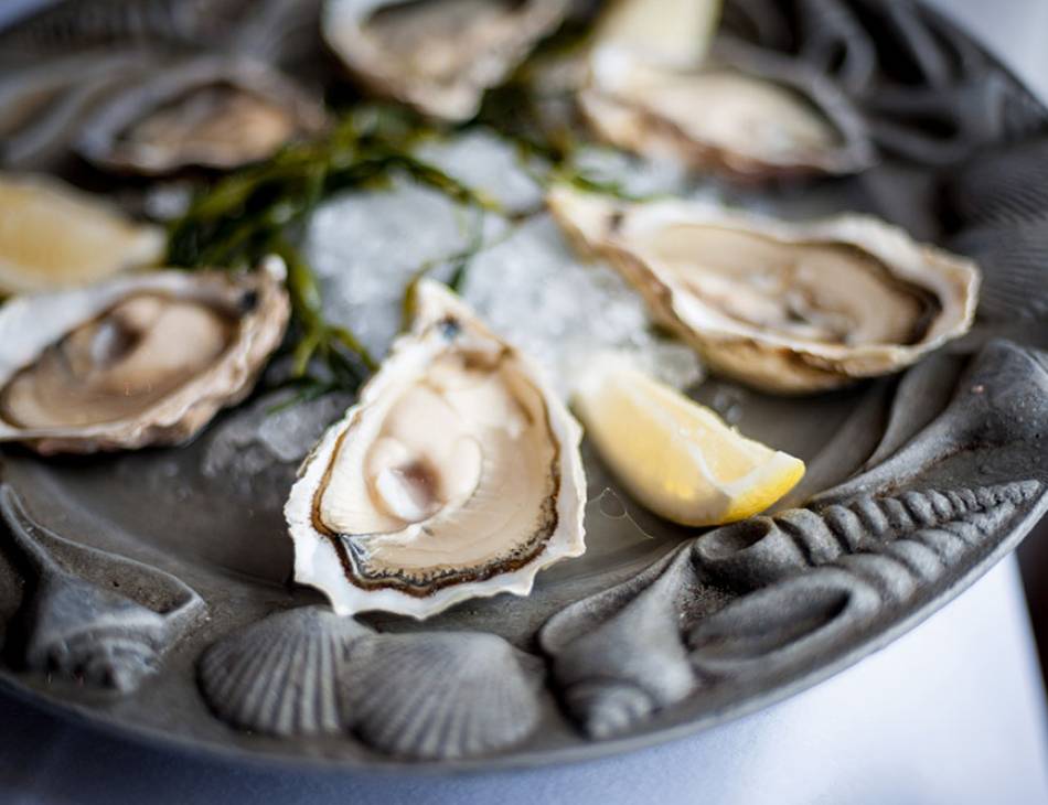 Falmouth Oyster Festival