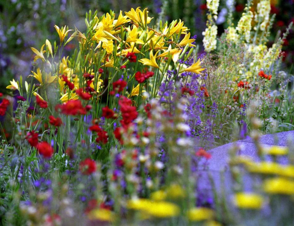 Chelsea Flower Show