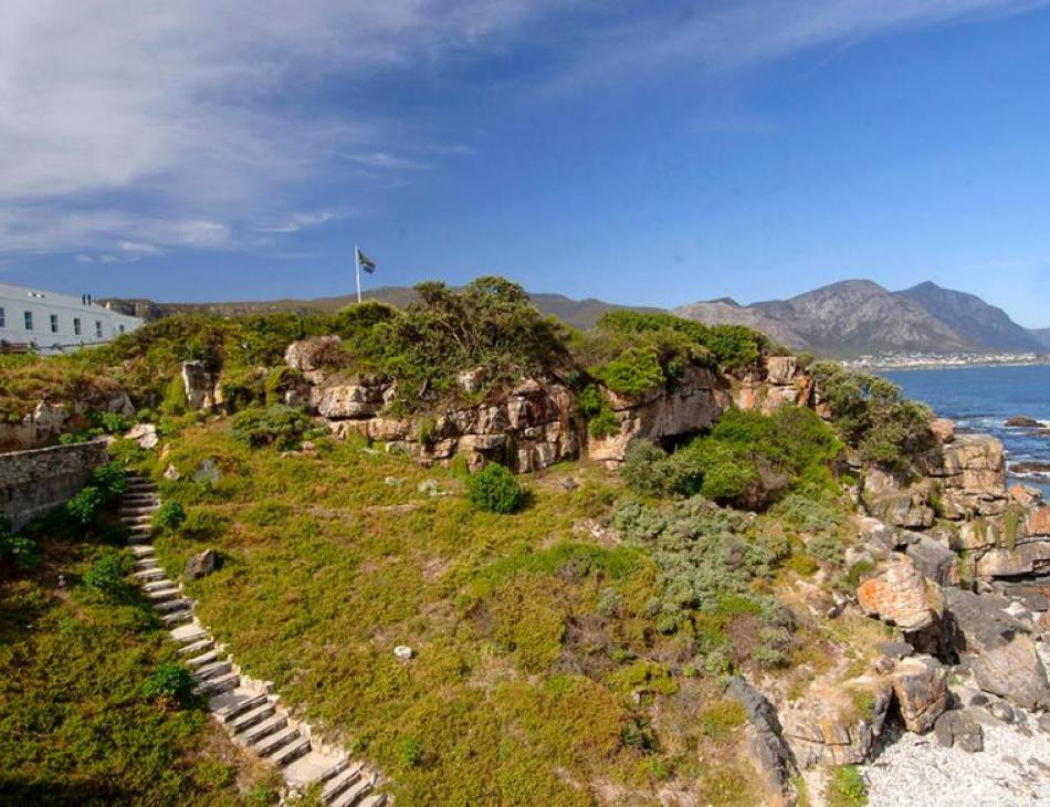 A Grand Tour of South Africa's Western Cape: Food and Wine