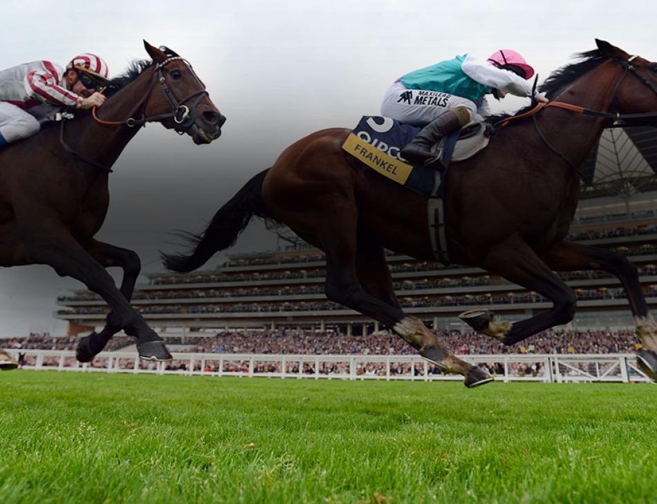 British Champions Day