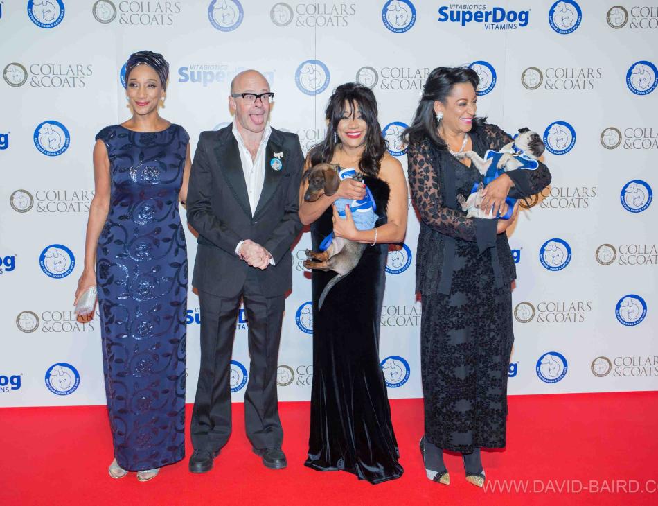 Stars Light Up Red Carpet  Battersea Dogs & Cats Home’s Collars & Coats Gala Ball