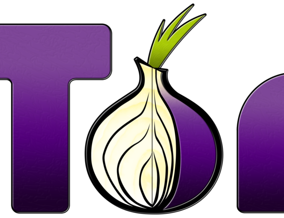 Best Software: Tor Anonymous Browser