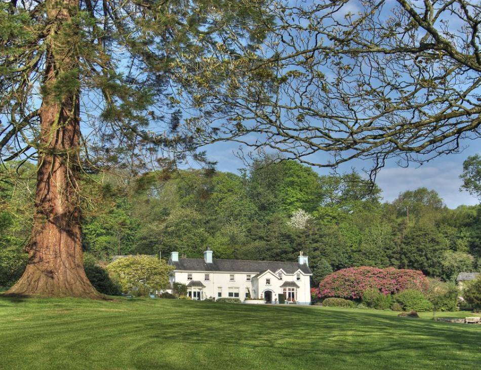 Ynyshir Hall Wales