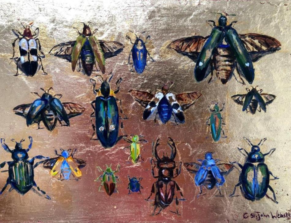 Golden beetle collection, Egypt.