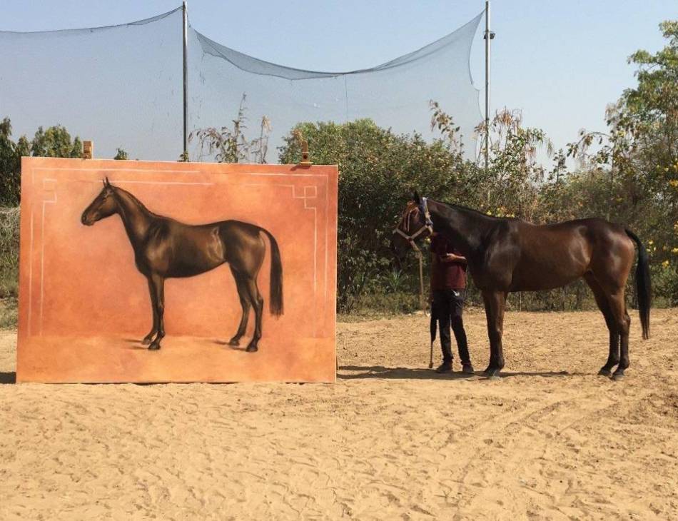 Miss Hattie poses for her portrait, held by a groom at the private stables belonging to H.H The Maharaja of Jaipur