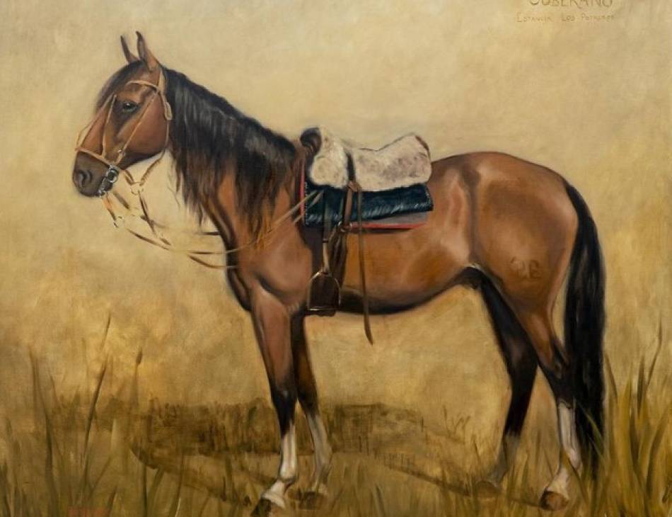 Soberano 180x200 cm Oil on Canvas painted at Estancia Los Potreros, Argentina 2022