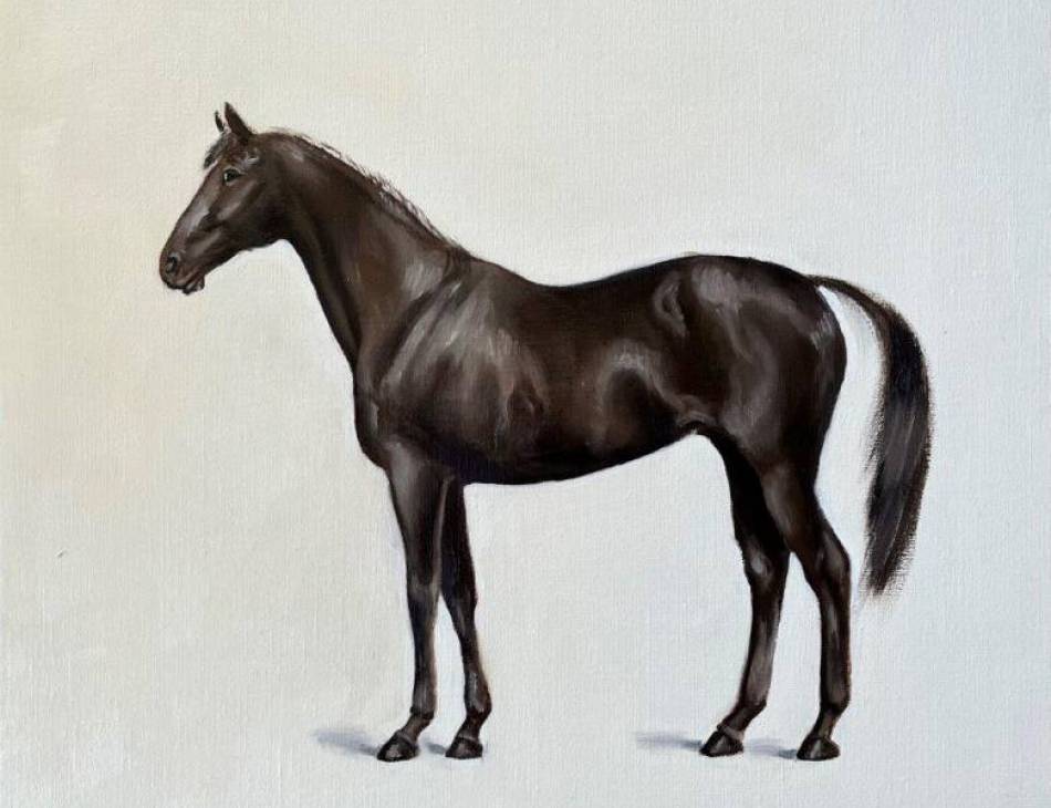 Tonic, Oil on Canvas, 46 x46cm