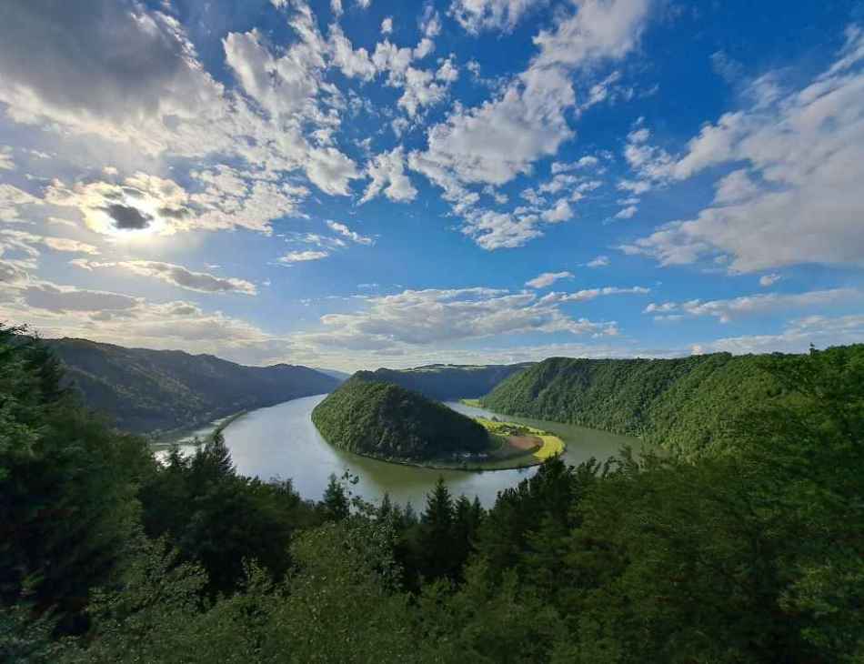 Schlögen Danube View