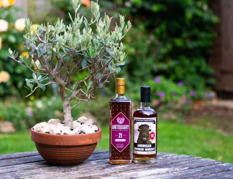 Antiquary and Bourbon