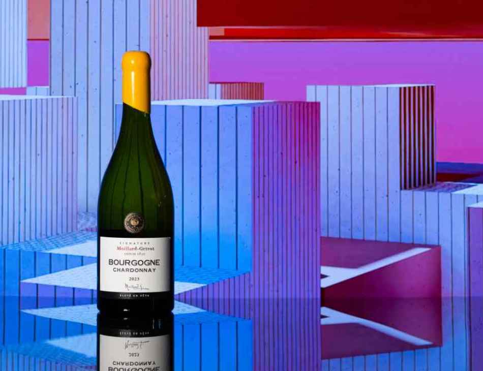 Moillard Grivot  Chardonnay