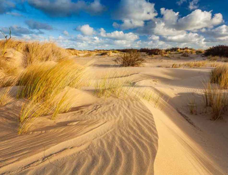 Westhoek Nature Reserve