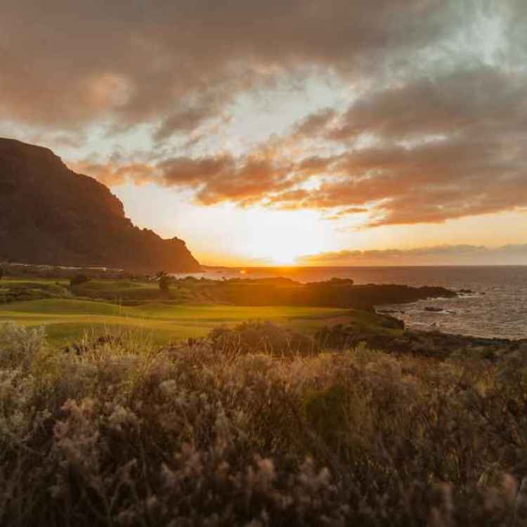 Tenerife: The High Life of Hyatt