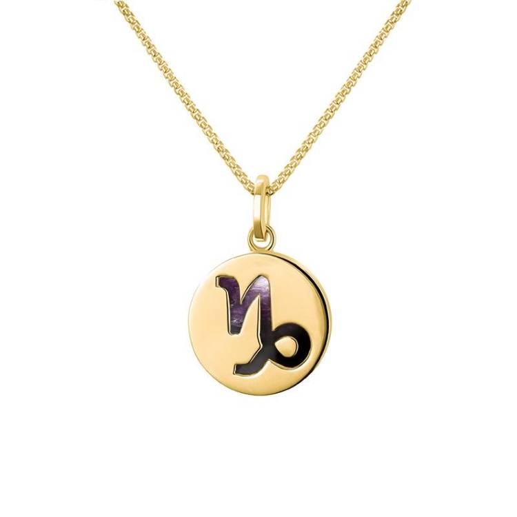 9ct Yellow Gold Blue John Zodiac Capricorn Round Necklace - Gold