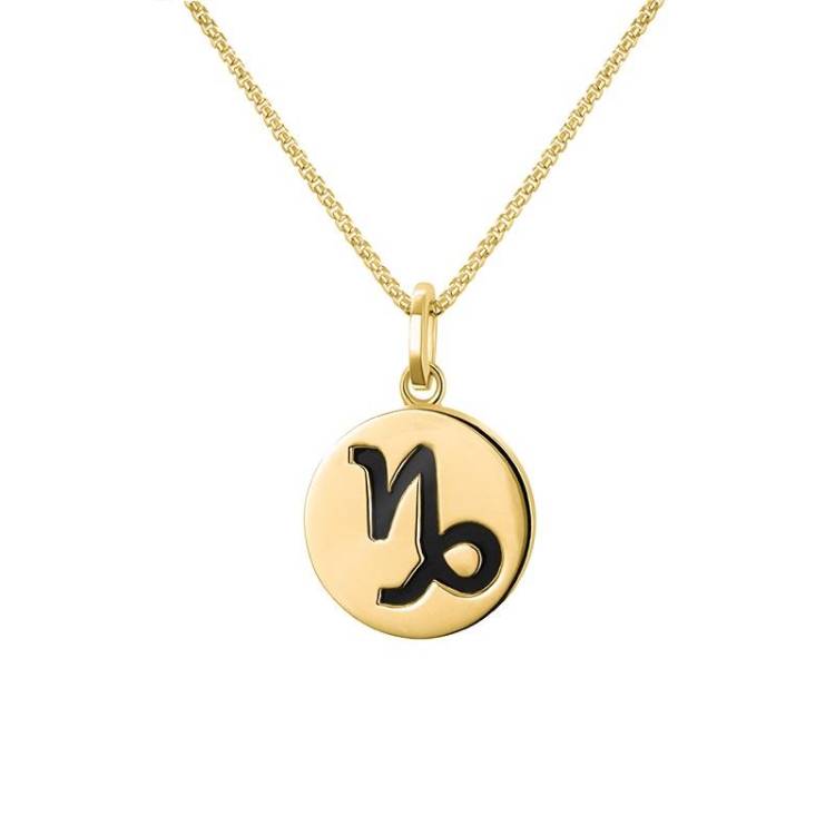 9ct Yellow Gold Whitby Jet Zodiac Capricorn Round Necklace - Gold