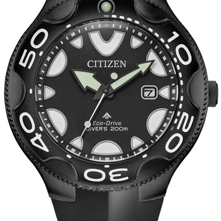 Citizen Watch Promaster Dive Eco Drive Watch & Torch Set - Black