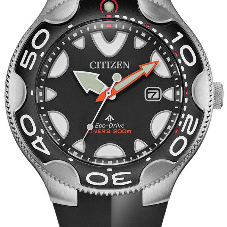 Citizen Watch Promaster Diver Orca Eco Drive Mens - Black