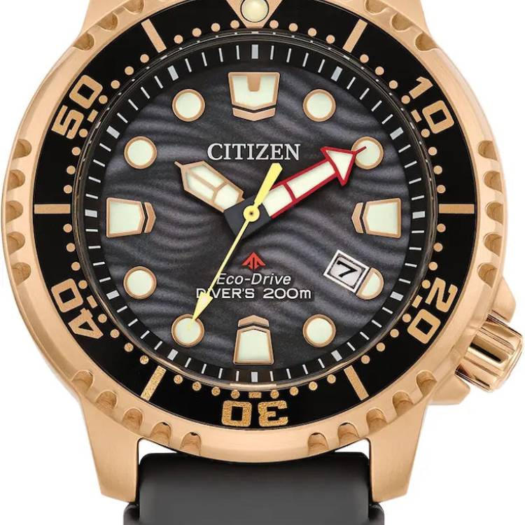 Citizen Watch Promaster Diver