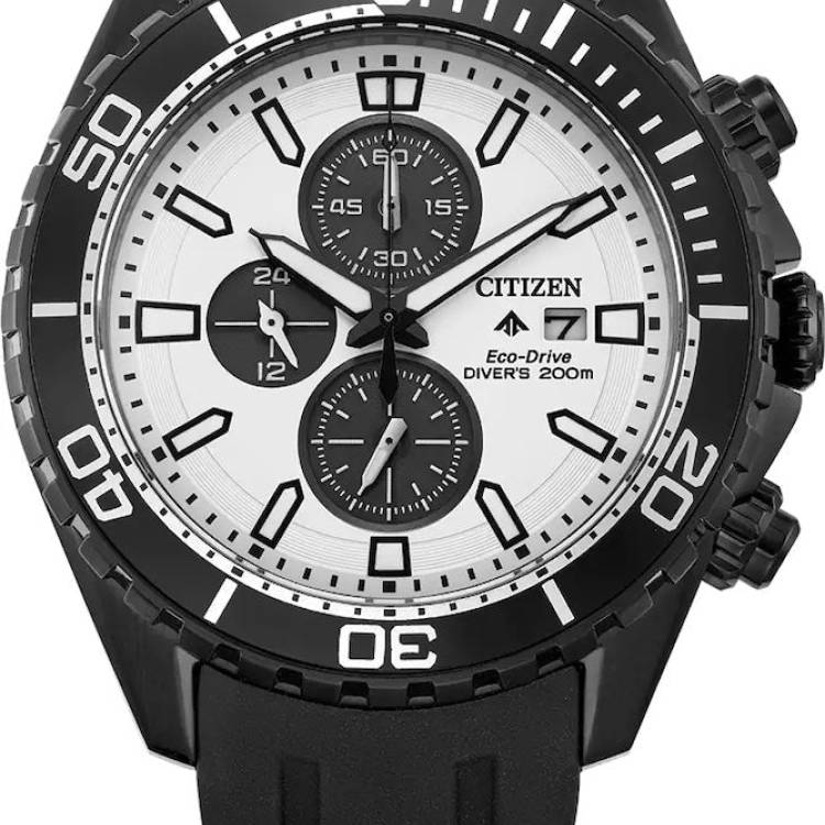 Citizen Watch Promaster Diver Eco Drive Mens