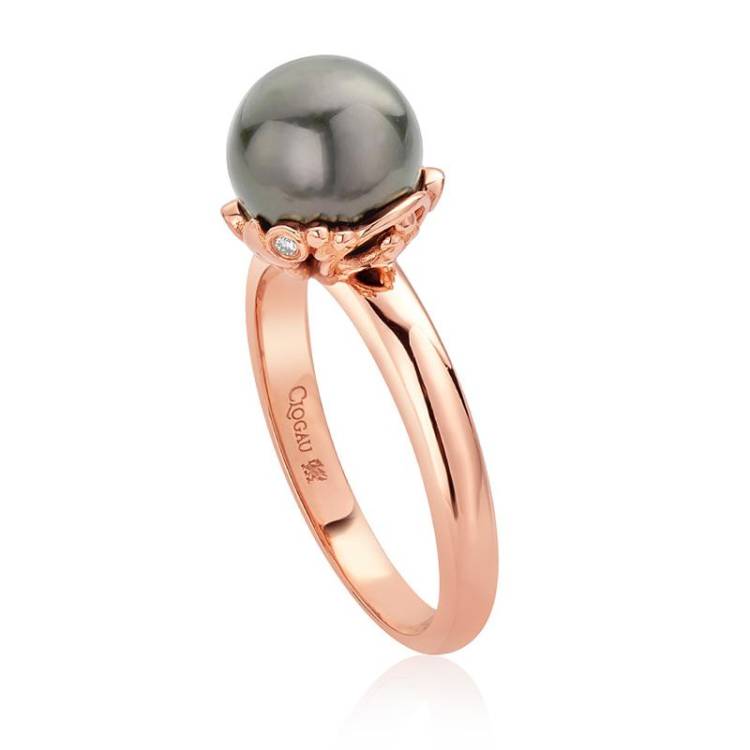 Clogau Tree of Life Tahitian Pearl 18ct Rose Gold Ring D - N