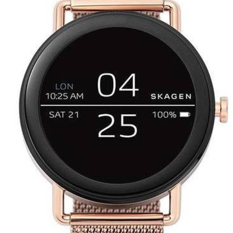 Skagen Watch Falster D