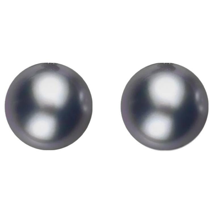 Sterling Silver 10mm Black Freshwater Pearl Stud Earrings - Silver