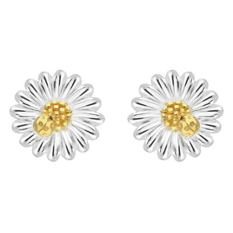 Yellow Gold Plated Sterling Silver Daisy Stud Earrings