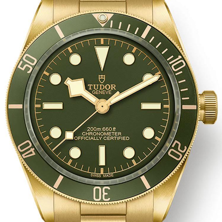 TUDOR Watch Black Bay 58 18k