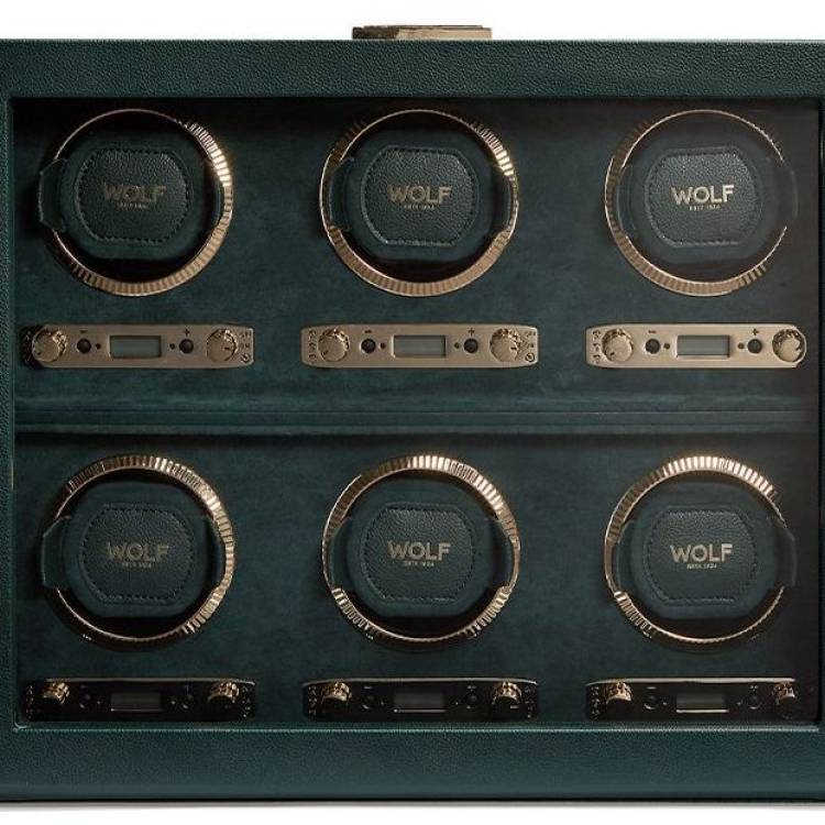 WOLF Watch Winder British Racing Green 6 Piece - Green