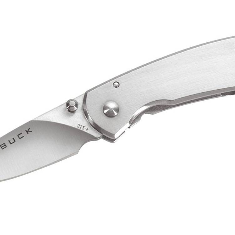 Buck Colleague Knife - Silver